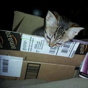 Meet your Posher, Deborah